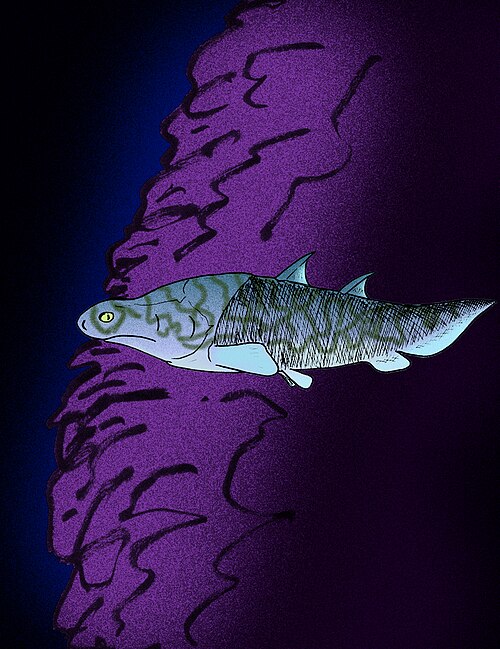 File:Shenacanthus vermiformis.jpg