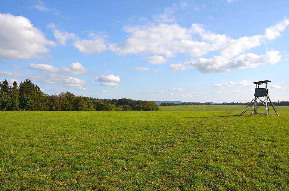 File:Wasserschutzgebiet Steinhoferwald bei Albstadt (Zollernalbkreis).jpg