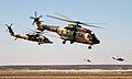 Royal Jordanian Air Force Super Puma