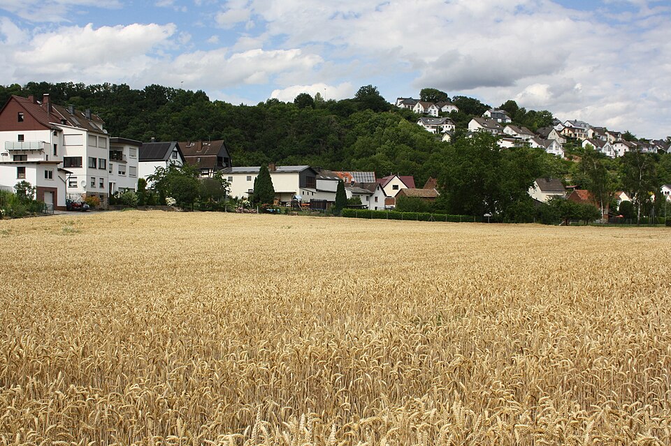 File:Aull2.jpg
