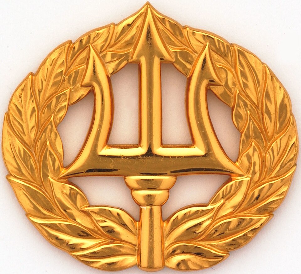 File:Command Ashore-Project Manager badge.jpg