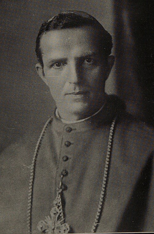 File:Giovanni Bonzano.jpg