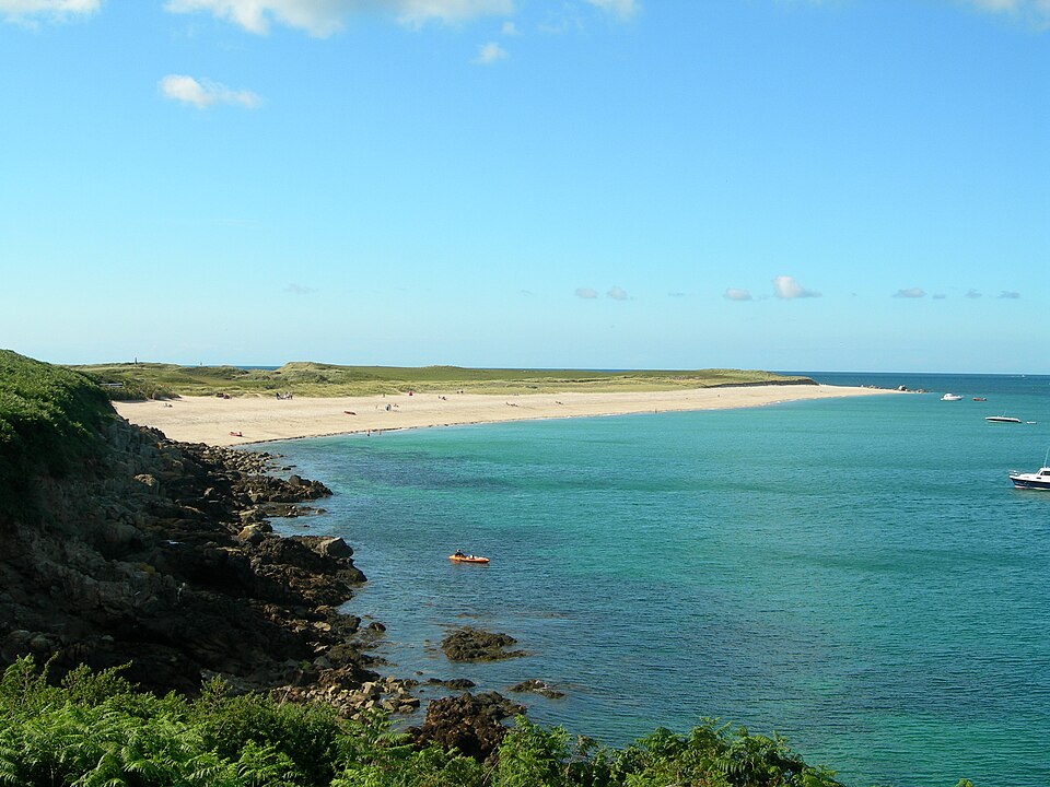 File:HermShellBeach.JPG