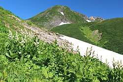 in Mount Haku