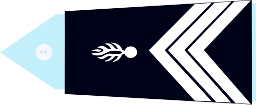 File:Mdc cstag.svg