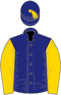 St patricks blue, gold sleeves, st patricks blue cap, gold tassel