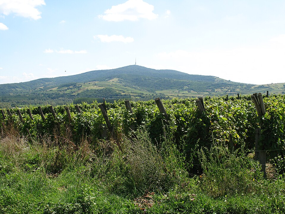 File:The Tokaj mountain 3.JPG