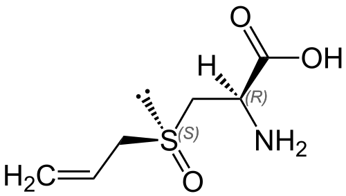 File:Alliin Structural Formula V.1.svg