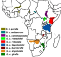 Thumbnail for version as of 16:16, 11 August 2010
