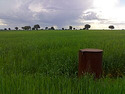 Landscape in La Alcarria
