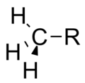 An arbitrary methyl group.