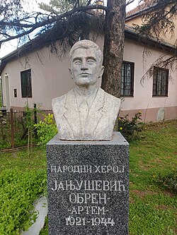 Bust of Obren Janjušević in Banatsko Karađorđevo