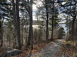 Through the branches, steep forest shore