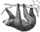 This user is a WikiSloth.