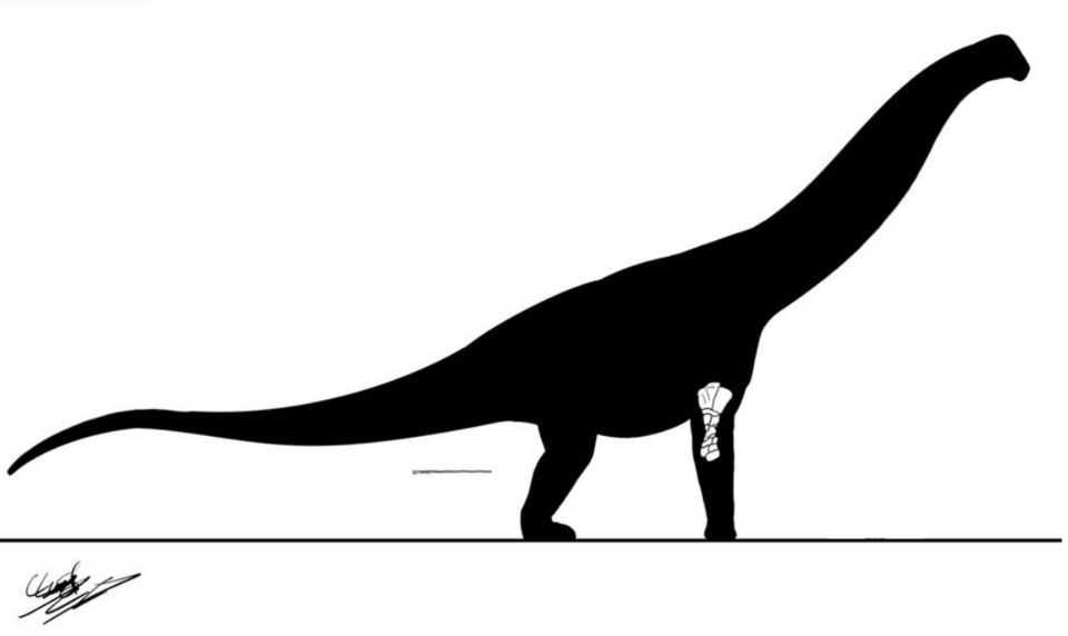 File:TKM007 titanosaur.png