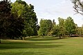 Ventura Park