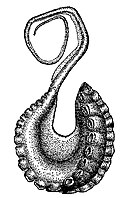 Thumbnail for version as of 23:45, 14 July 2009