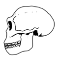 Thumbnail for version as of 16:27, 13 January 2018