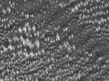 Thumbnail for version as of 12:51, 3 August 2017