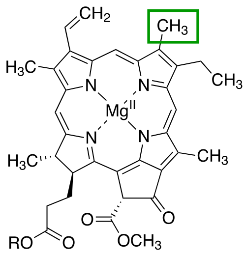 File:C-3 position Chlorophyll a.svg