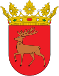 Coat of arms of Goizueta