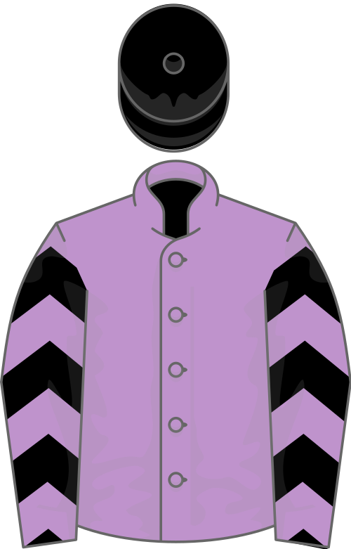 File:Owner Owners Group 001.svg