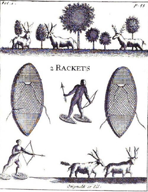 File:Rackets 1.jpg