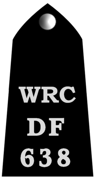 File:WarReserveConstableEpaulette.png