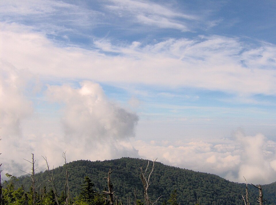 File:Andrews-bald-from-clingmans-dome.jpg