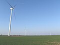 Thumbnail for version as of 07:52, 31 March 2011