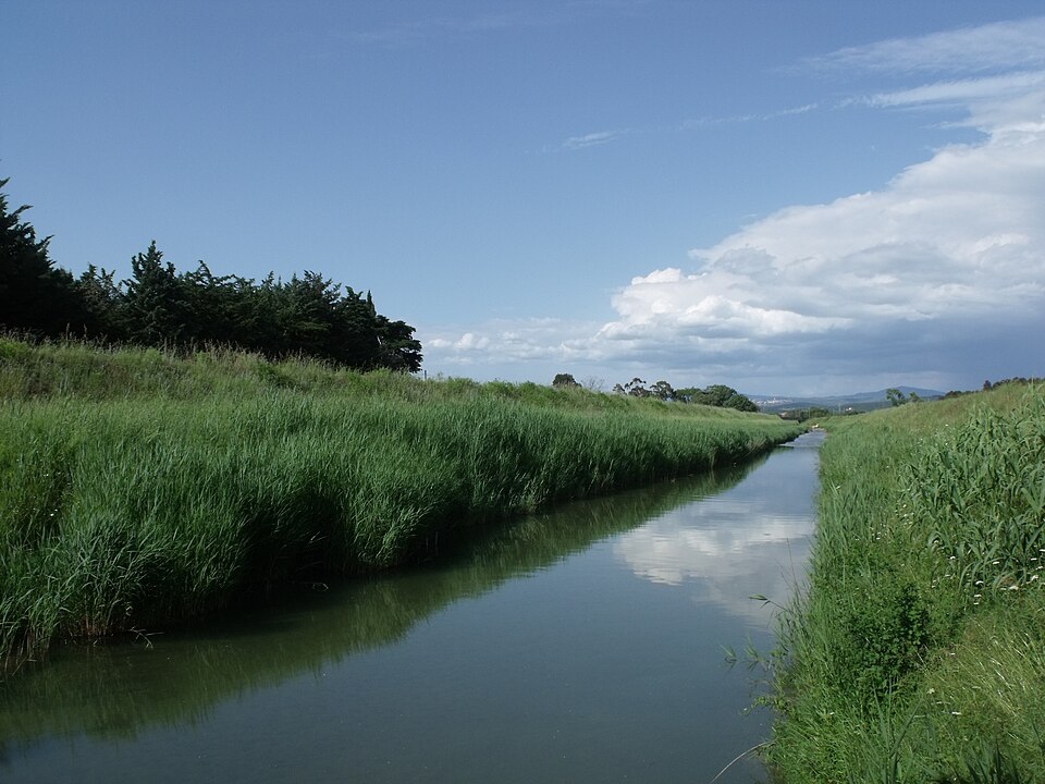 File:PecoraRiverFollonicaScarlino.JPG