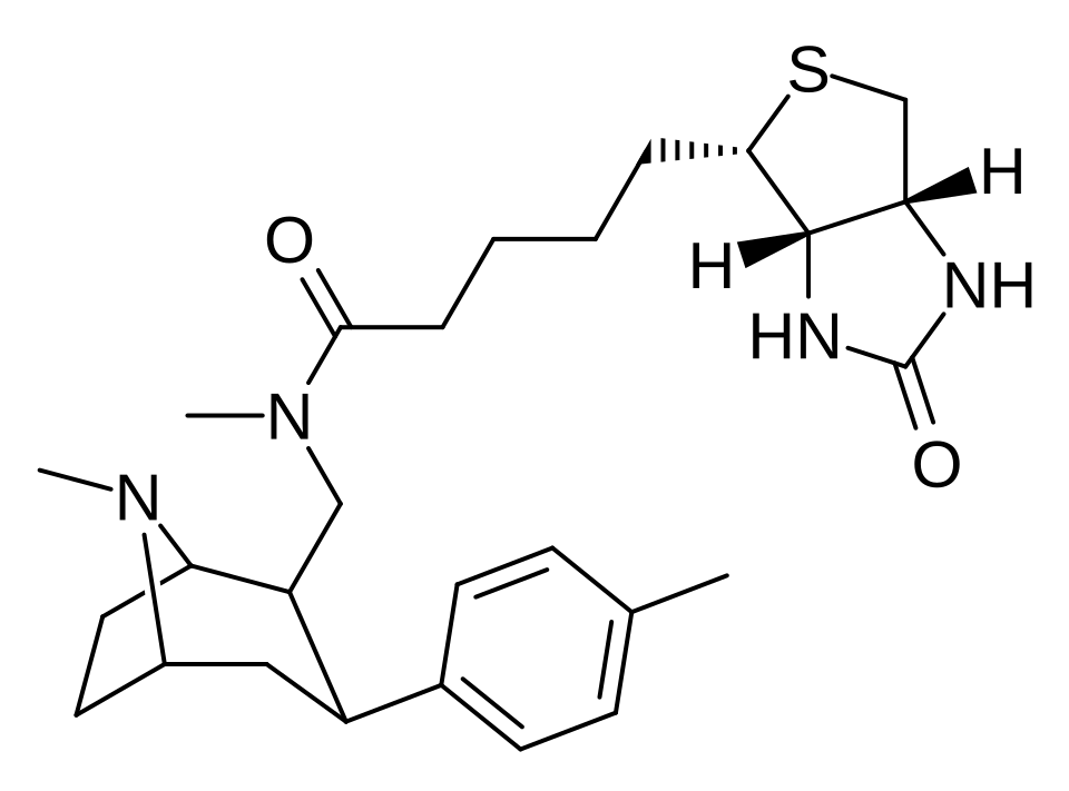 File:Phenyltropane B2.svg