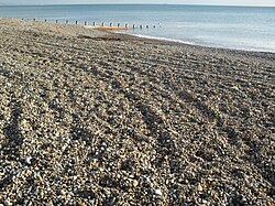 A gently sloping beach of large, coarse stones, lit by weak sunlight.  There are some mounds caused by tyre tracks, and an accumulation of brown seaweed.  A timber groyne runs into the sea in the background.  A ship is just visible on the horizon.
