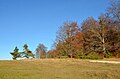 WSG Stettener Wald