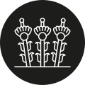 Official seal of Álvaro Obregón
