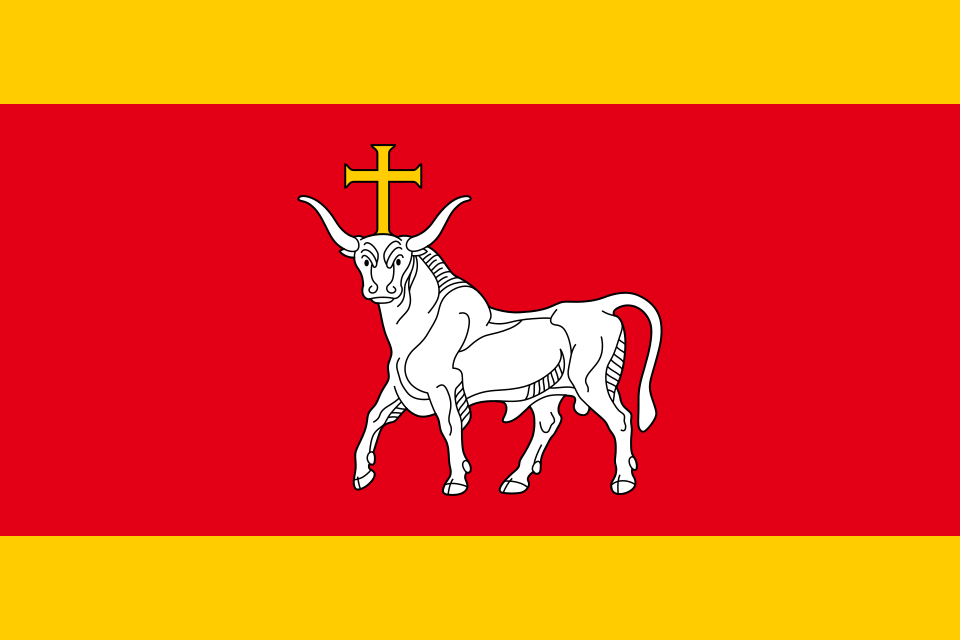 File:LTU Kaunas flag.svg