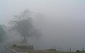 Madikeri