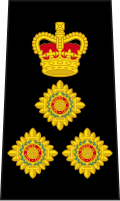 File:SaskatoonPoliceChief.svg