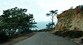 Torrey Pines Park Road, San Diego