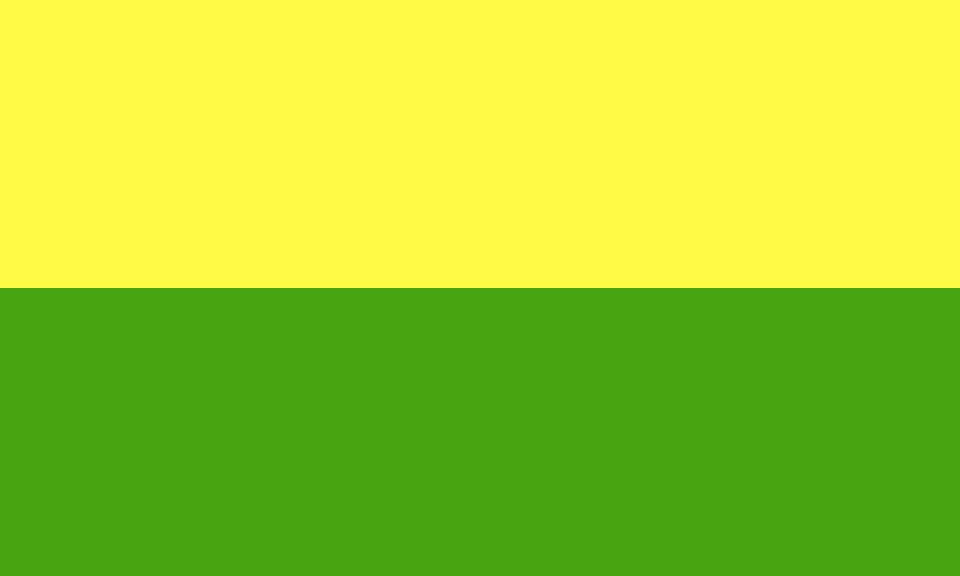 File:Bandera de Cañas.svg