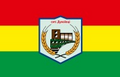 Flag of Dunaivtsi