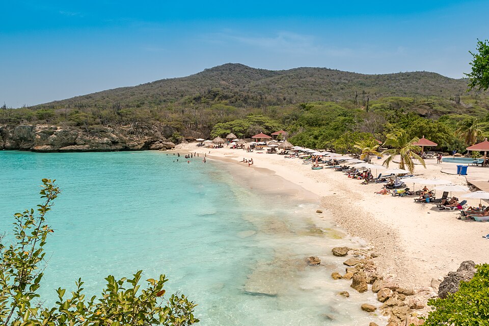 File:Grote Knip Kenepa Grandi Curacao (36561697451).jpg
