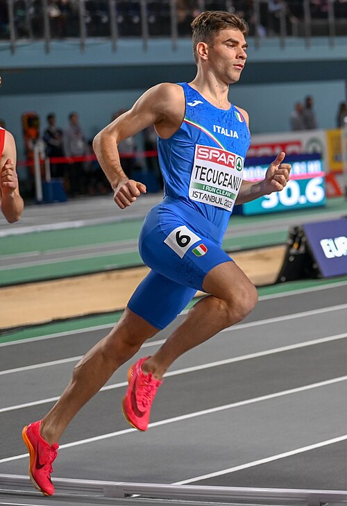 File:Catalin Tecuceanu.jpg