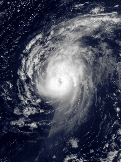 File:Danielle 2004-08-16 1615Z.png