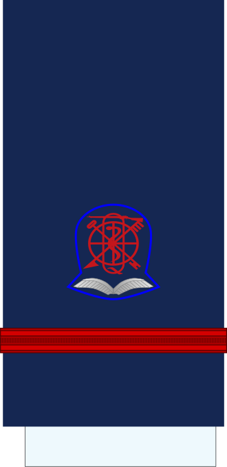 File:Ireland-AirForce-OR-8.svg