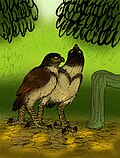 Thumbnail for version as of 20:41, 6 September 2025