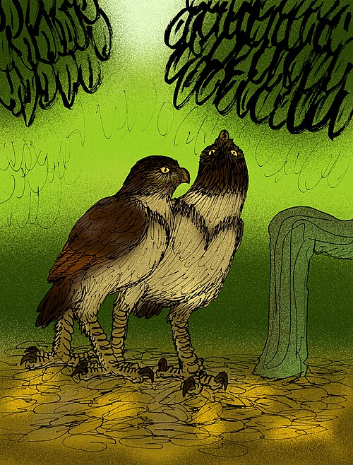 File:Ornimegalonyx oteroi restoration.jpg