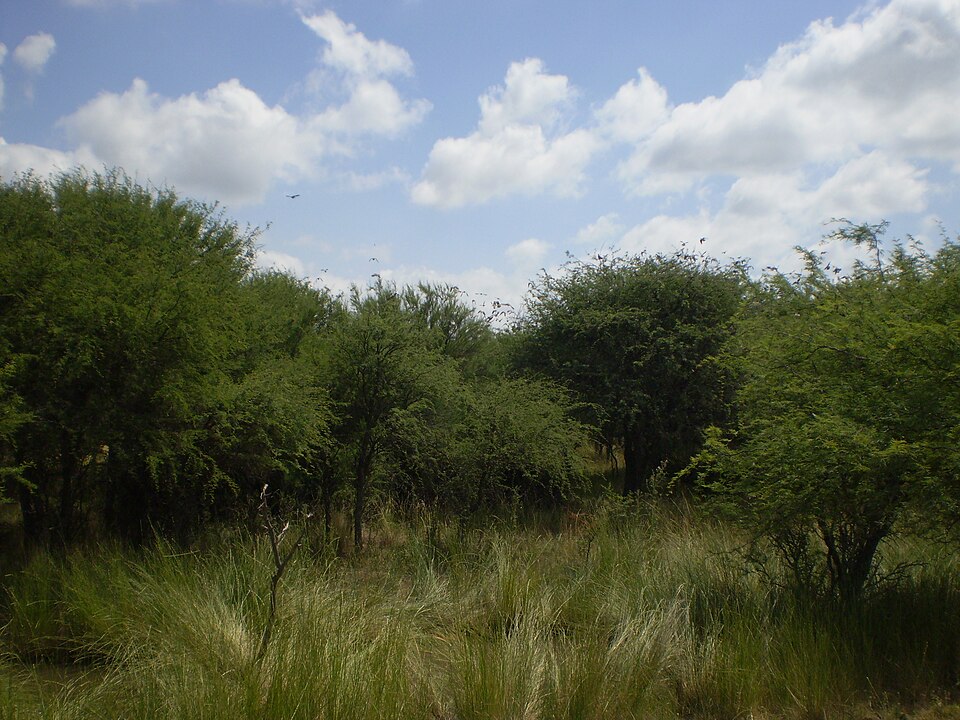 File:ParqueLuro046.JPG