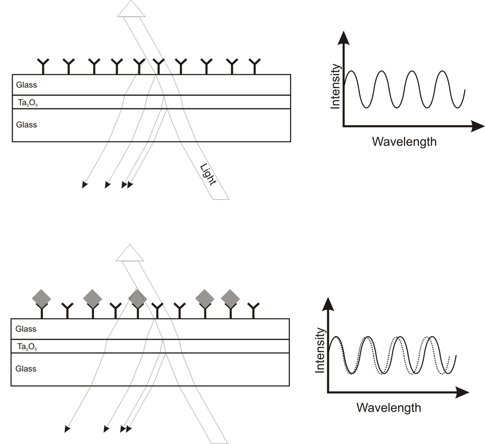 File:RIfS Prinzip eng PF.png