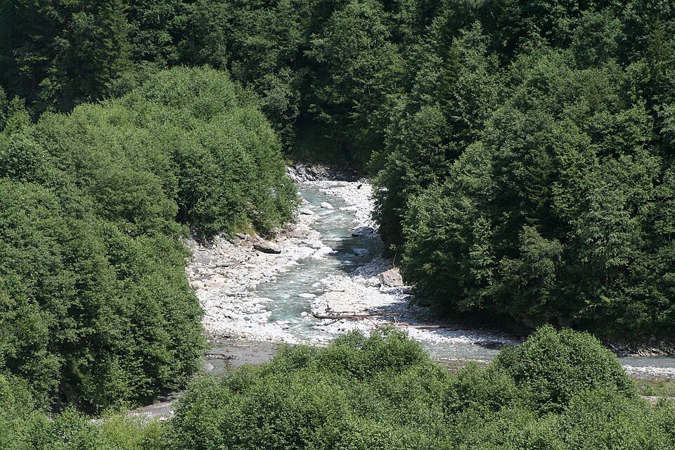 File:Rabiusa.jpg